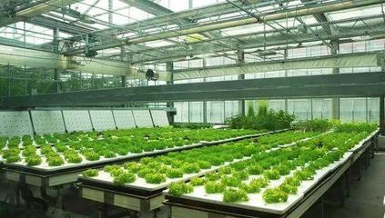 改变“万物土中生”的新型栽培技术 农业技术的研究