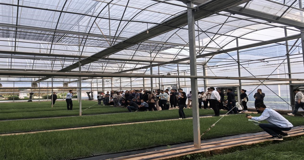 山东省重点研发计划“高品质大葱绿色生产关键技术研发与产业化”项目现场观摩会在安丘沃华智慧农业科技园召开